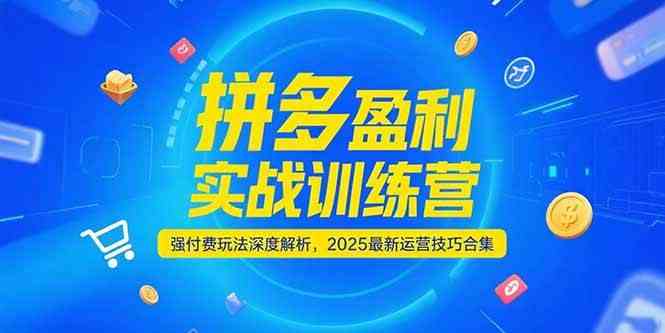拼多多盈利实战训练营，强付费玩法深度解析，2025最新运营技巧合集-优优云网创优优云网创资源站