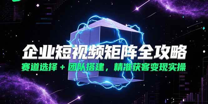 （15242期）企业短视频矩阵全攻略，赛道选择+团队搭建，精准获客变现实操-优优云网创优优云网创资源站