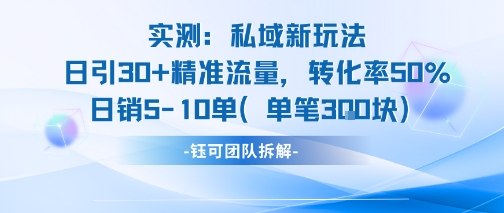 实测私域新玩法日引30加精准流量转化率50%日销5-10单每笔3张-优优云网创优优云网创资源站