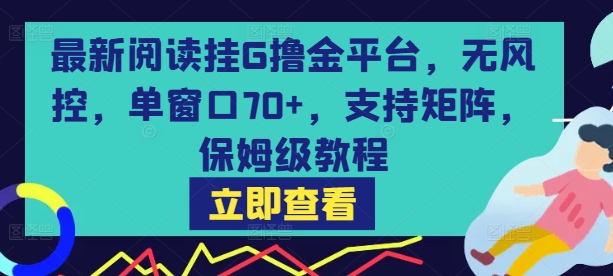 最新阅读挂G撸金平台，无风控，单窗口70+，支持矩阵，保姆级教程【揭秘】-优优云网创优优云网创资源站