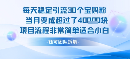 每天稳定引流30个人 当月变成超过了4个W项目流程非常简单适合小白-优优云网创优优云网创资源站