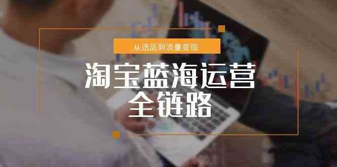 淘宝蓝海运营全链路，从选品到流量变现，小类目突围完整方案-优优云网创优优云网创资源站