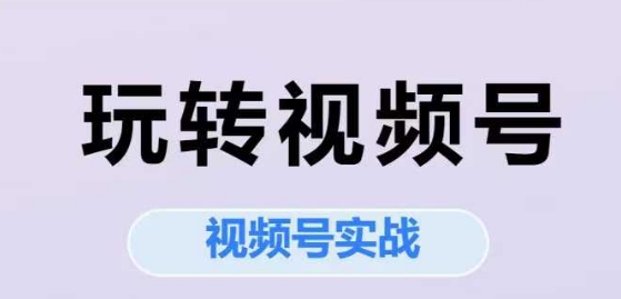 玩转视频号，视频号实战系列课-优优云网创优优云网创资源站