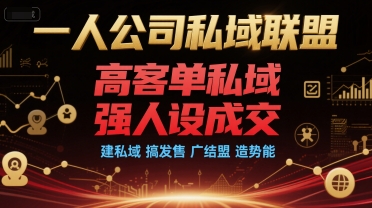 一人公司私域联盟，高客单私域，强人设成交，建私域 搞发售 广结盟 造势能-优优云网创优优云网创资源站