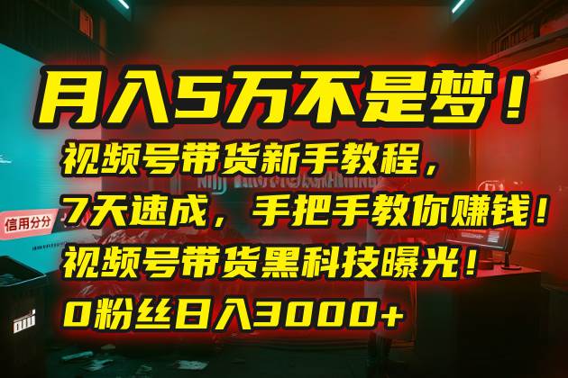（15595期）月入5万不是梦！视频号带货新手教程，7天速成，手把手教你赚钱！视频号…-优优云网创优优云网创资源站