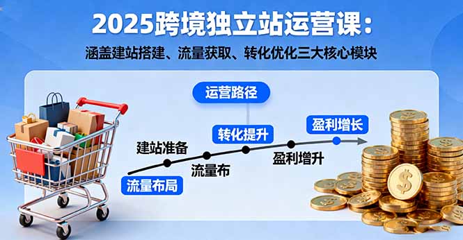 2025跨境独立站运营课：涵盖建站搭建、流量获取、转化优化三大核心模块-优优云网创优优云网创资源站