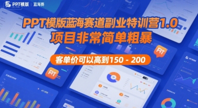 PPT模版蓝海赛道副业特训营1.0，项目非常简单粗暴，客单价可以高到150-200-优优云网创优优云网创资源站