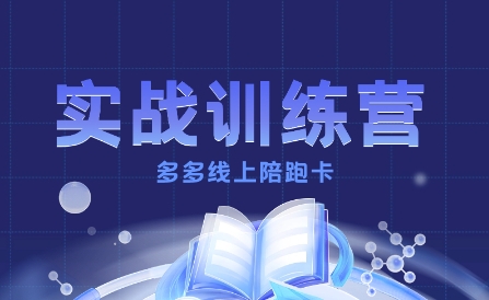 多多实战训练营，从0到1打造一个真正賺钱的店铺-优优云网创优优云网创资源站
