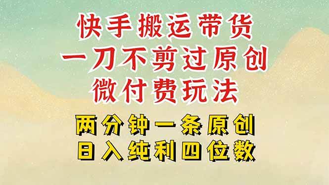 （15577期）快手黑科技搬运带货，一刀不剪过原创，微付费投流玩法，轻松日入四位数…-优优云网创优优云网创资源站