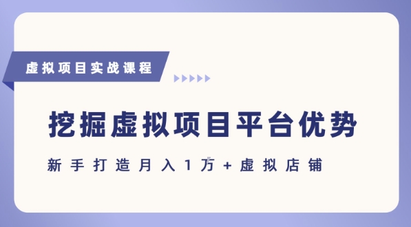 抓住虚拟项目各平台优势，新手轻松月入1W+(给出具体建议)-优优云网创优优云网创资源站