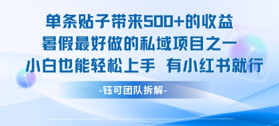单条贴子带来5张的收益，暑假最好做的私域项目之一，小白也能轻松上手，有小红书就行-优优云网创优优云网创资源站