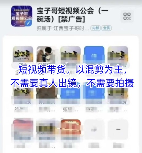 宝子哥头部团队短视频带货，以混剪为主，不需要真人出镜，不需要拍摄【更新】-优优云网创优优云网创资源站