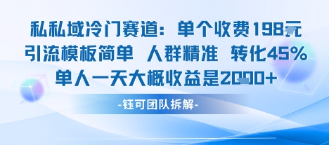 私域冷门赛道单个收费198米引流模板简单人群精准 45%的转化率单人一天大概收益多张-优优云网创优优云网创资源站