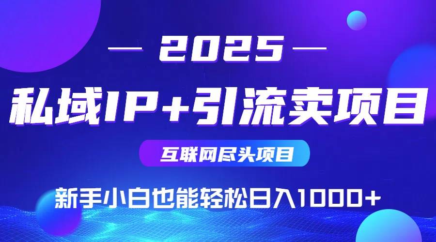 （15531期）2025网创尽头项目，私域IP+引流，新手小白也能在家日入1000+-优优云网创优优云网创资源站