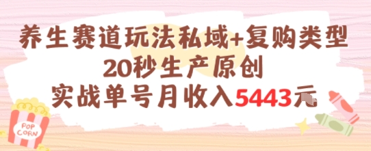 养生赛道玩法私域+复购类型，20秒生产原创实战单号月收入5k+-优优云网创优优云网创资源站
