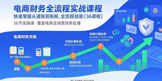 电商财务全流程实战课程：快速掌握从建账到报税的全流程技能(36节课-优优云网创优优云网创资源站
