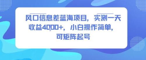 风口信息差蓝海项目，实测一天收益4k+，小白操作简单，可矩阵起号-优优云网创优优云网创资源站