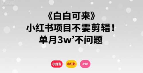 小白可来 小红书项目不需要剪辑 单月3w不是问题-优优云网创优优云网创资源站