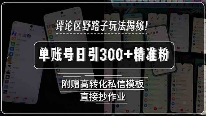 （15466期）评论区野路子玩法揭秘！单账号日引300+精准粉，附赠高转化私信模板，直…-优优云网创优优云网创资源站