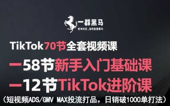TikTok全套视频课，新手入门+进阶课，短视频ADS-GMV MAX投流打品，日销破1000单打法-优优云网创优优云网创资源站