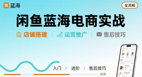 闲鱼蓝海电商实战，店铺搭建运营售后全流程-优优云网创优优云网创资源站