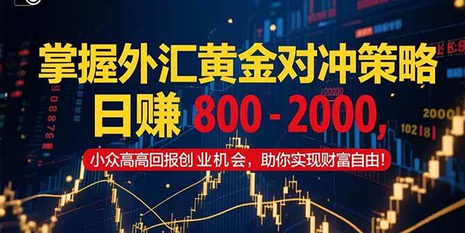 （15198期）掌握外汇黄金对冲策略，日赚 800 – 2000，小众高回报创业机会，助你实…-优优云网创优优云网创资源站
