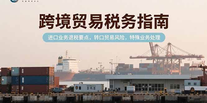 （15381期）跨境贸易税务指南，进口业务退税要点，转口贸易风险，特殊业务处理-优优云网创优优云网创资源站