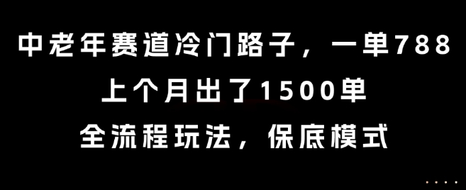 中老年赛道冷门路子，一单788，上个月出了1500单，全流程玩法，保底模式【揭秘】-优优云网创优优云网创资源站