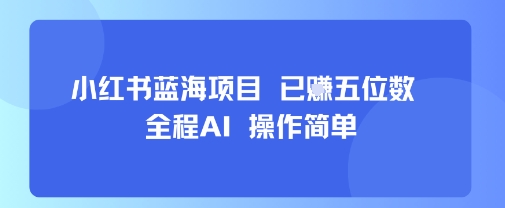 小红书蓝海项目，全程AI，操作简单，已挣五位数-优优云网创优优云网创资源站