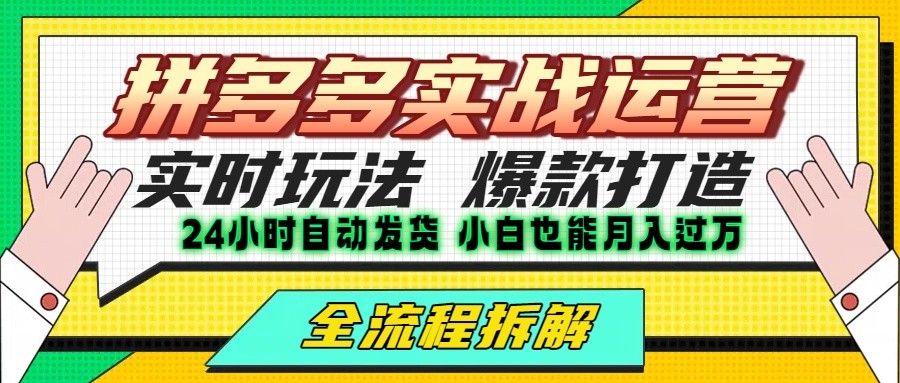 拼多多最新实战运营高投产：长久稳定项目，单店利润一天三位数-优优云网创优优云网创资源站
