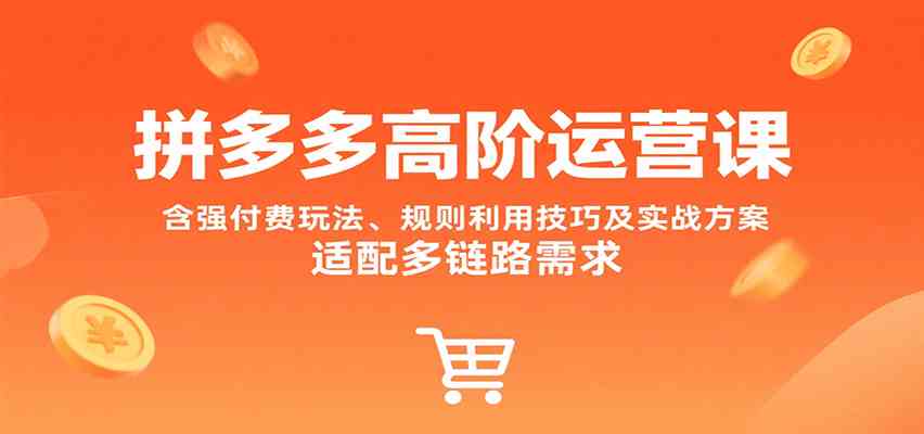 拼多多高阶运营课，含强付费玩法、规则利用技巧及实战方案，适配多链路需求-优优云网创优优云网创资源站