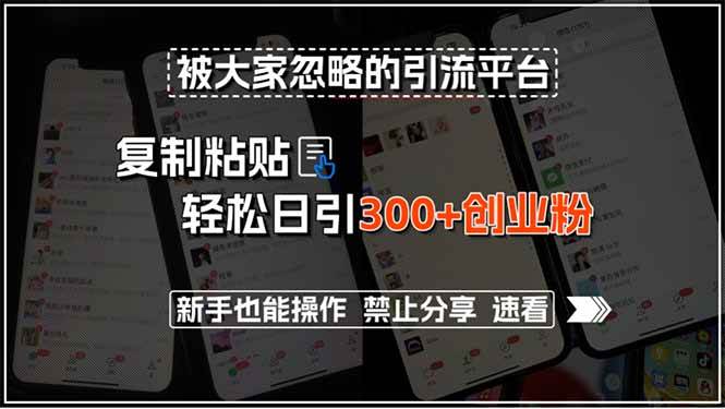 （15428期）被大家忽略的引流平台，复制粘贴轻松日引300+创业粉，新手也能操作，禁…-优优云网创优优云网创资源站