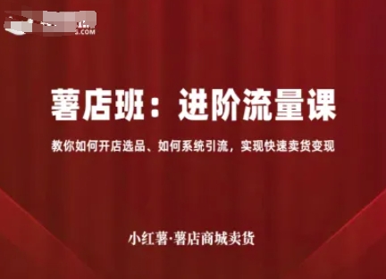 小红薯薯店商城卖货，进阶流量课，教你如何开店选品、如何系统引流，实现快速卖货变现-优优云网创优优云网创资源站
