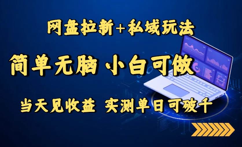 （15744期）网盘拉新+私域玩法，简单无脑，小白可做，当天见收益，实测单日可破千-优优云网创优优云网创资源站