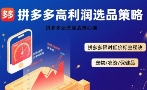 拼多多选品暴利技术实战课，拼多多高利润选品策略，拼多多限时低价标签秘诀-优优云网创优优云网创资源站