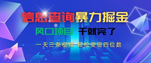 信息查询暴力掘金，一天三条视频，轻松变现四位数，风口项目干就完了【揭秘】-优优云网创优优云网创资源站