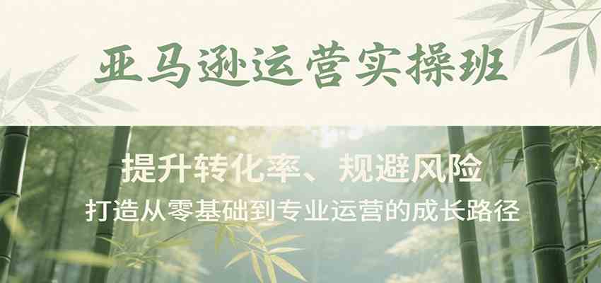 亚马逊运营实操班，提升转化率、规避风险，打造从零基础到专业运营的成长路径-优优云网创优优云网创资源站