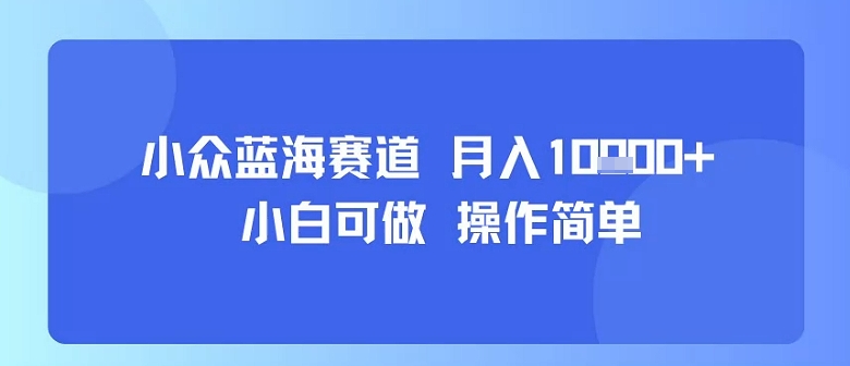 小众蓝海赛道，小白可做，操作简单，每天30分钟，月入1W+-优优云网创优优云网创资源站