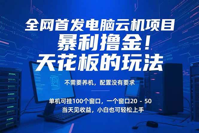 （15323期）电脑云机项目 暴力撸金玩法，不需要养机 配置没有要求 单机100个窗口一…-优优云网创优优云网创资源站